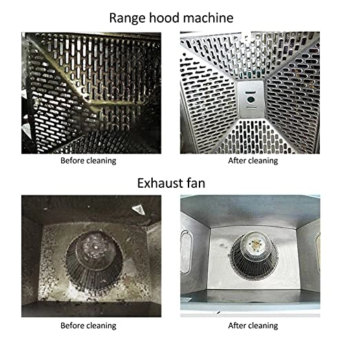 High Pressure Steam Cleaner - 250-300KPa 260-350ml