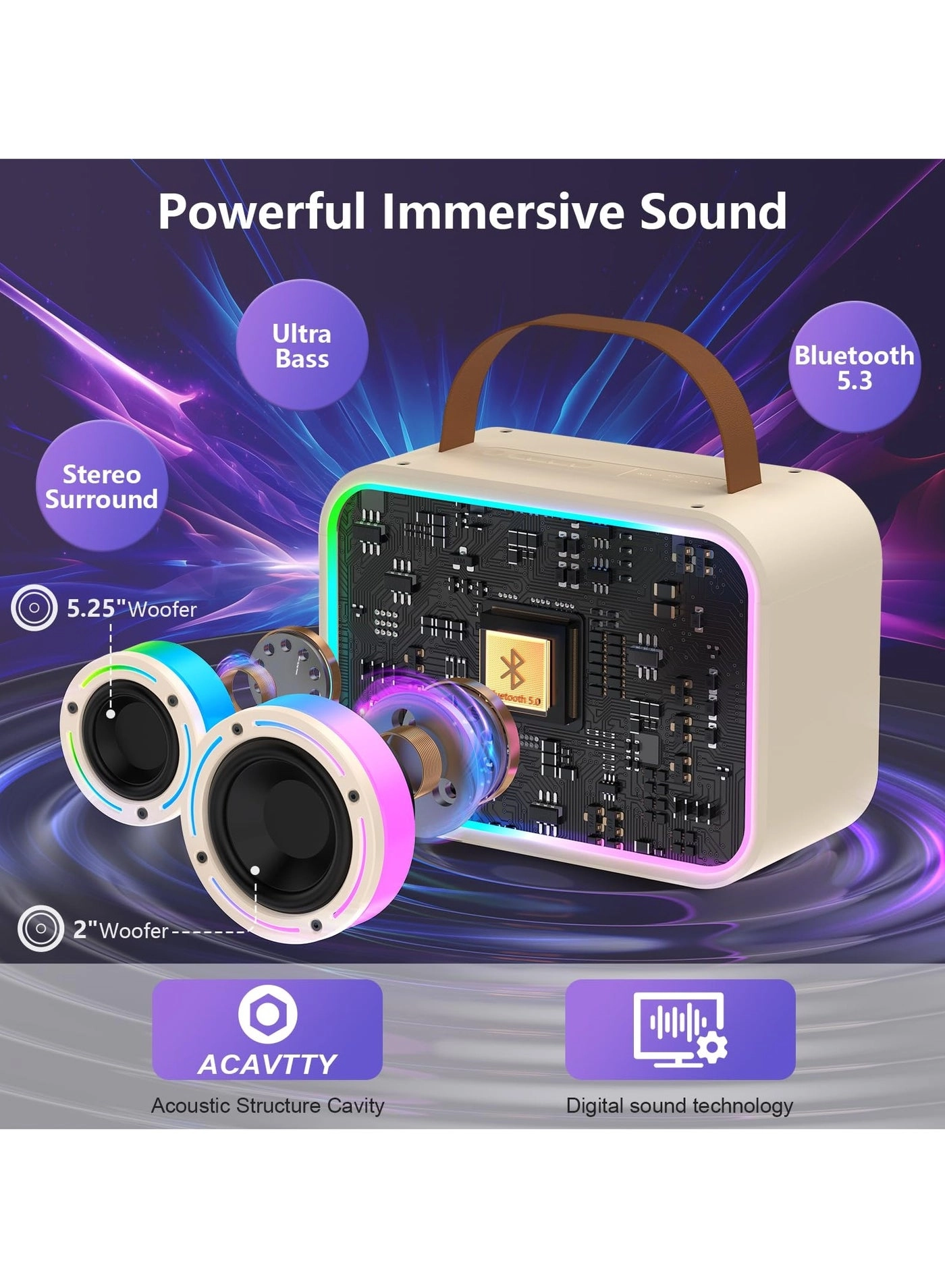 D30T - 2 Wireless Microphones