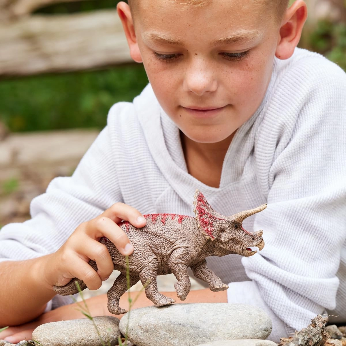 Triceratops - 4 years Dinosaurs 1 pc 1 pc