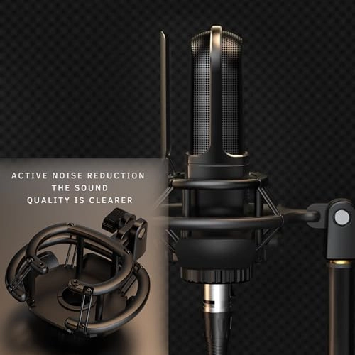 K726 - XLR Microphone