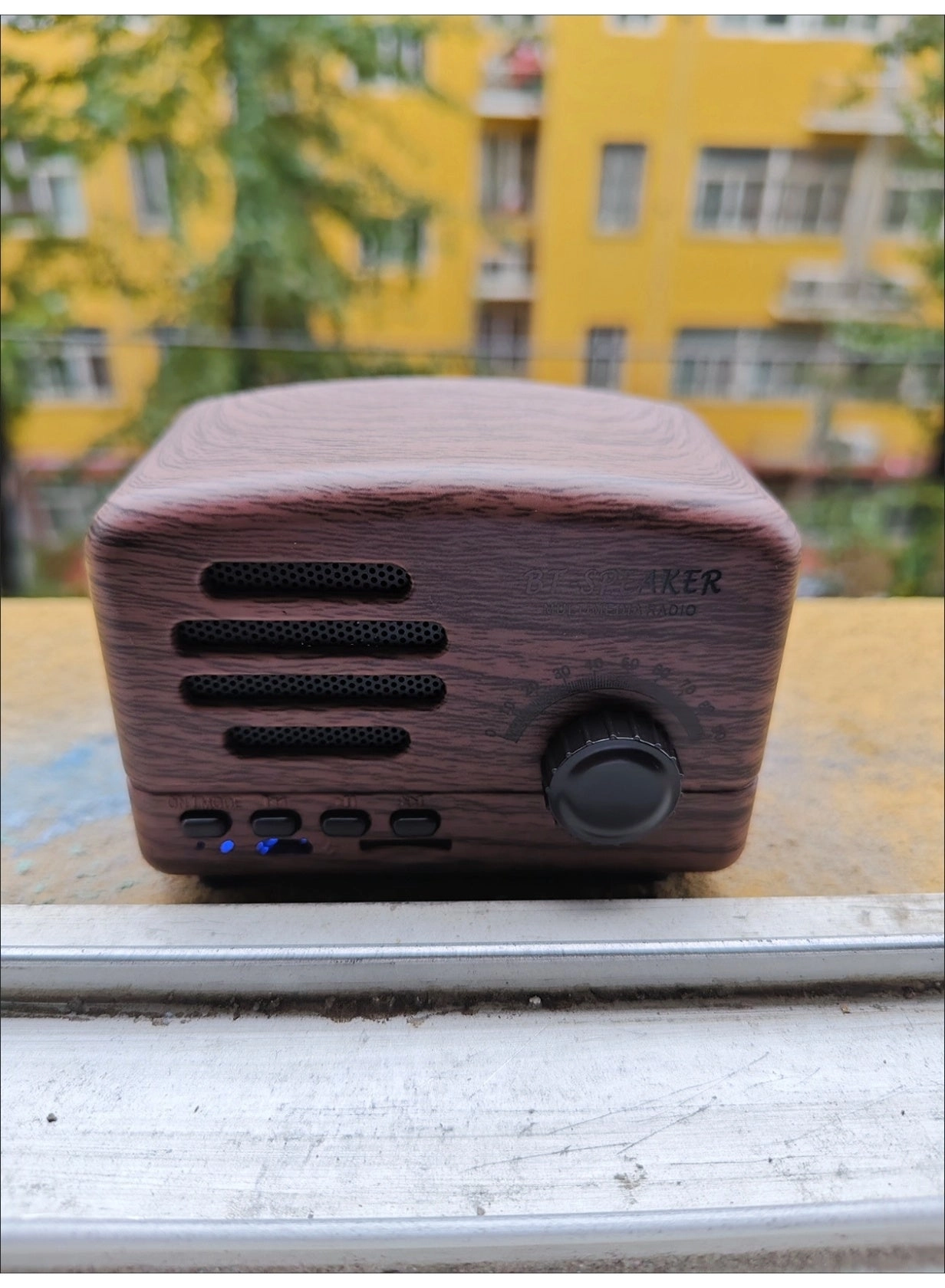 Bluetooth Radio Speaker - FM