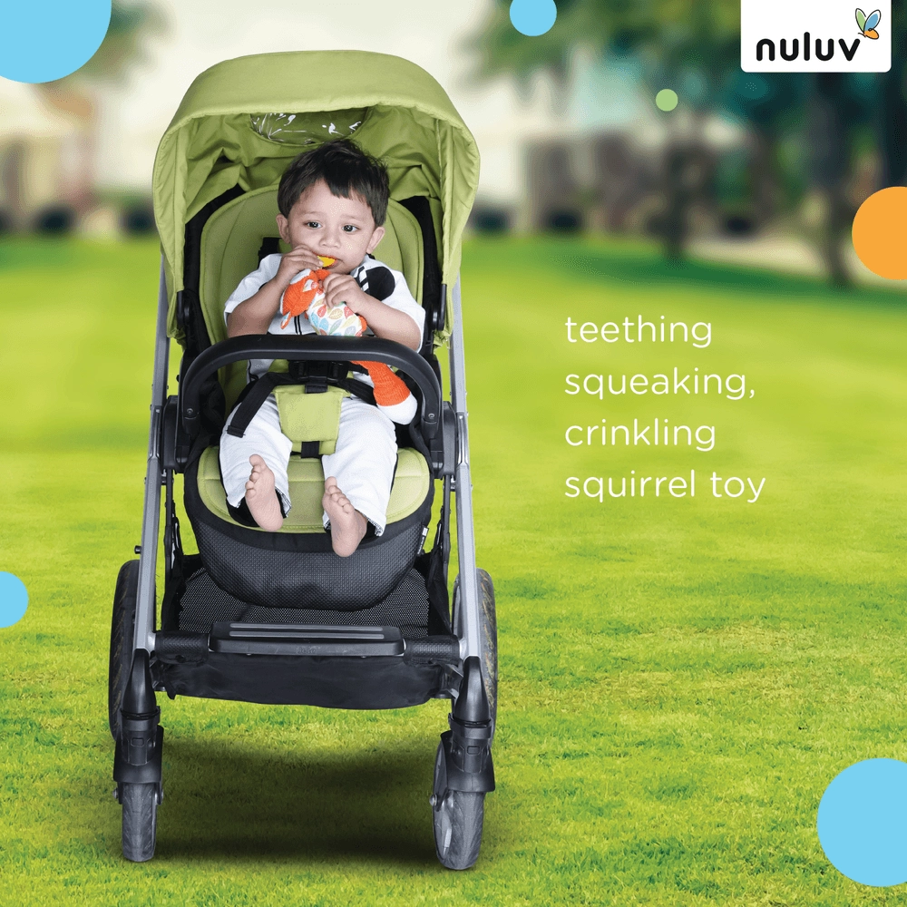 Playtime Squirrel - Suitable For 0 to 12 Years