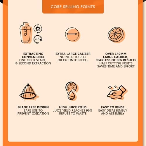 Electric Citrus Juicer - Hands Free Automatic Stainless Steel