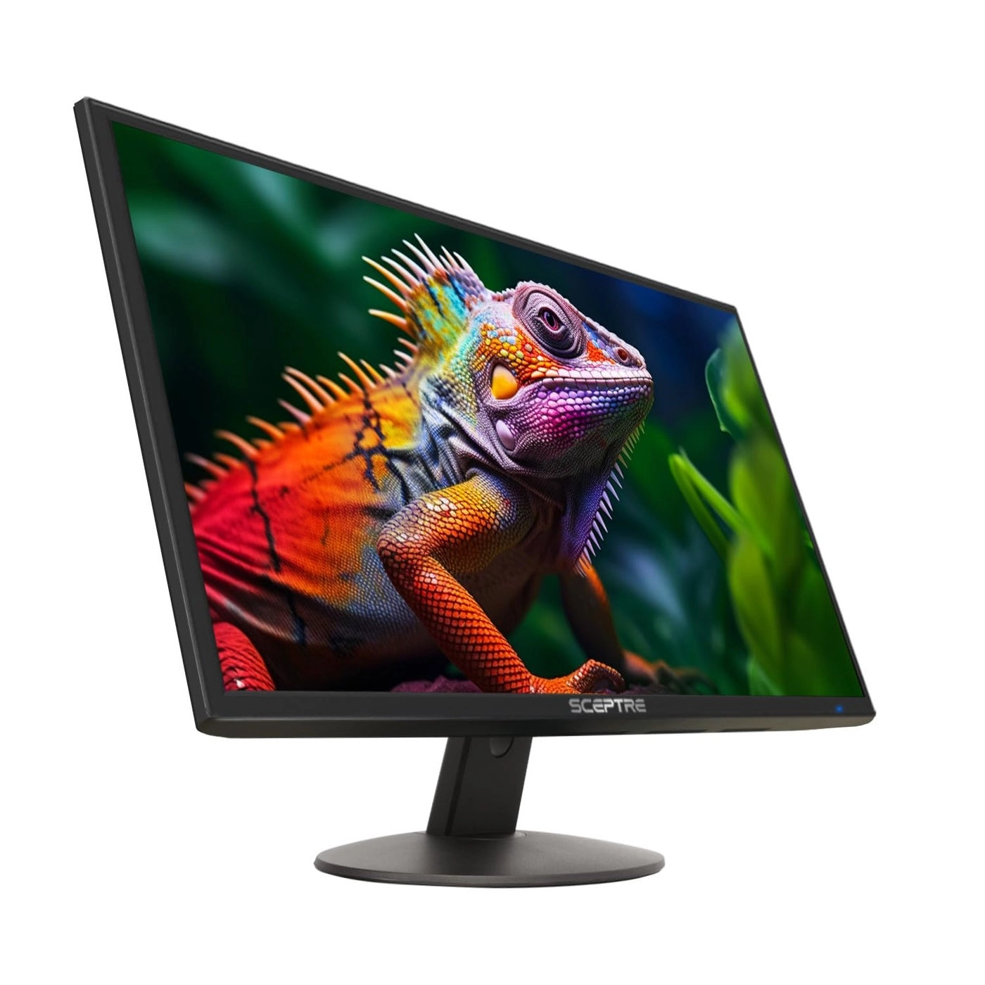 Sceptre E248W-19203R - 24-inch 1080p