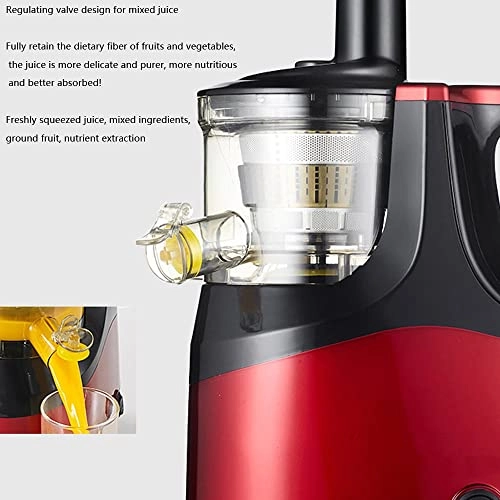 DASIZHOU - 180W 300 Milliliters