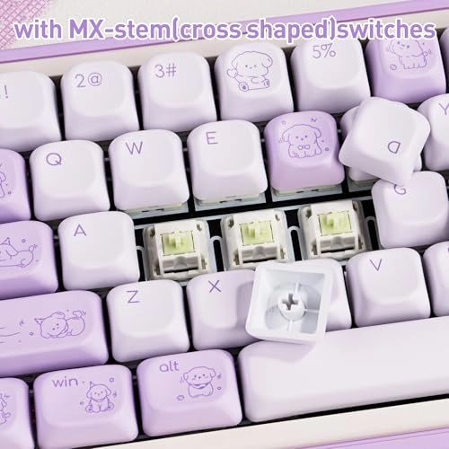 FOA Profile Keycaps - QWERTY Only Keycaps