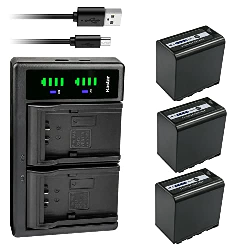 AG-VBR89G Battery - 8850mAh + LTD2 USB Charger