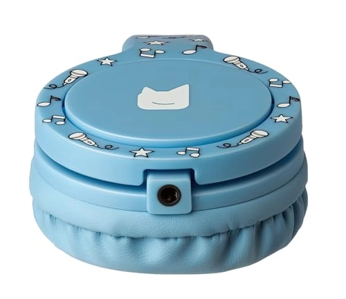 10002546 Wired Headphone