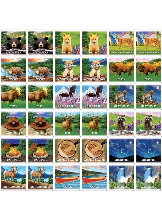 Jr Ranger - Slug Bug State-Cation - Card Game