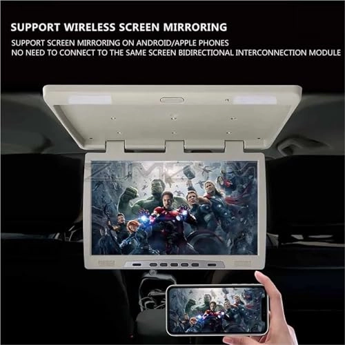 Roofmount LCD Monitor - 19in