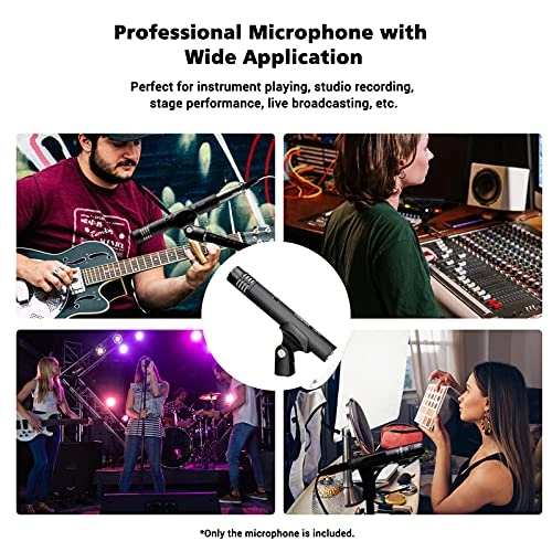 CM-63 XLR Microphone