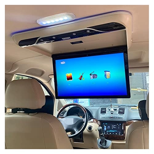 Car Ceiling Display - 19 Inch