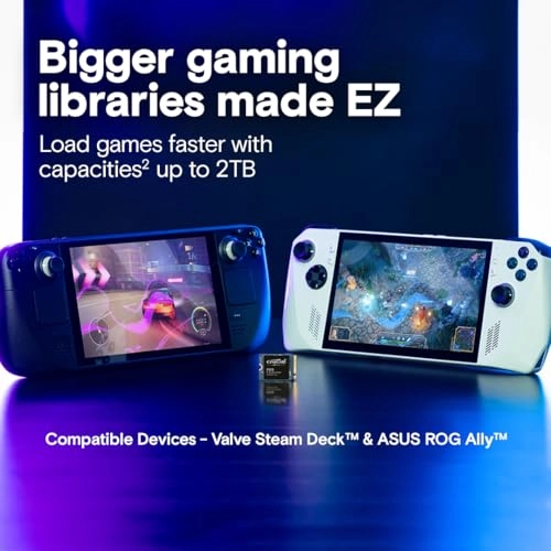 P310 - 1 TB 2230