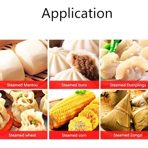 Electric Food Steamer