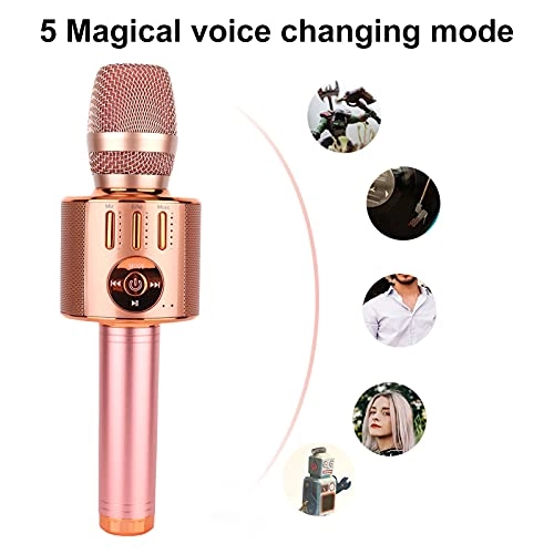 Wireless Microphone Wireless Microphone