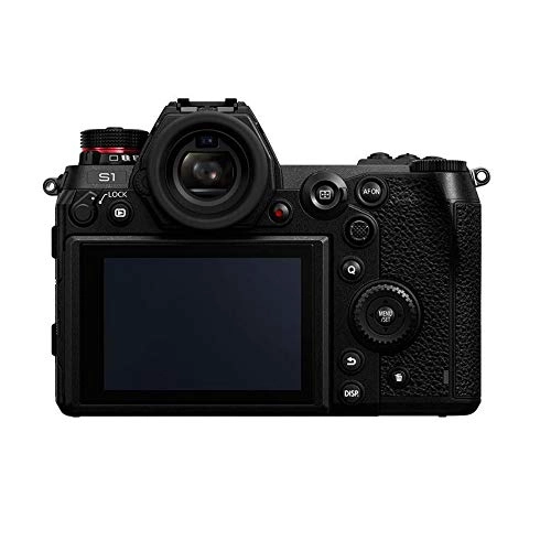 LUMIX S1