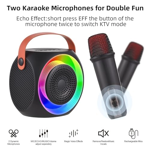 Karaoke Machine - 2 15W