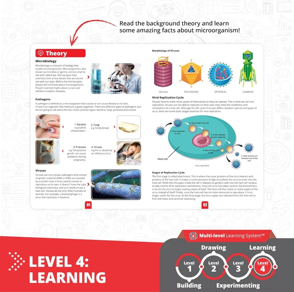 How Viruses Works Biology - 8 years+