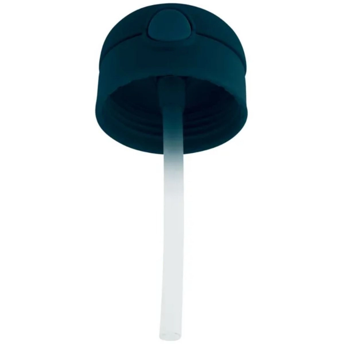 Dino Insulated Bottle - Vacuum Insulated - 349 ml