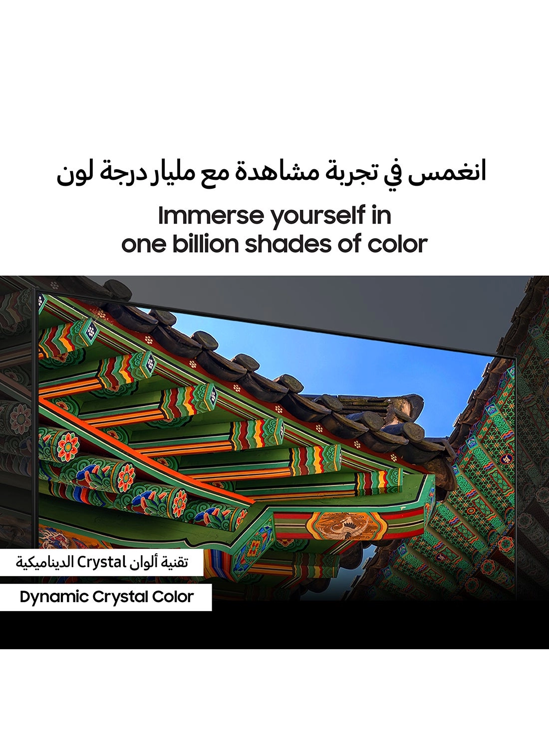 UA55DU8000UXZN - 55 Inch