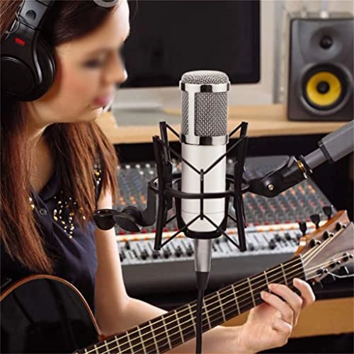 ss1/i47578 USB Microphone