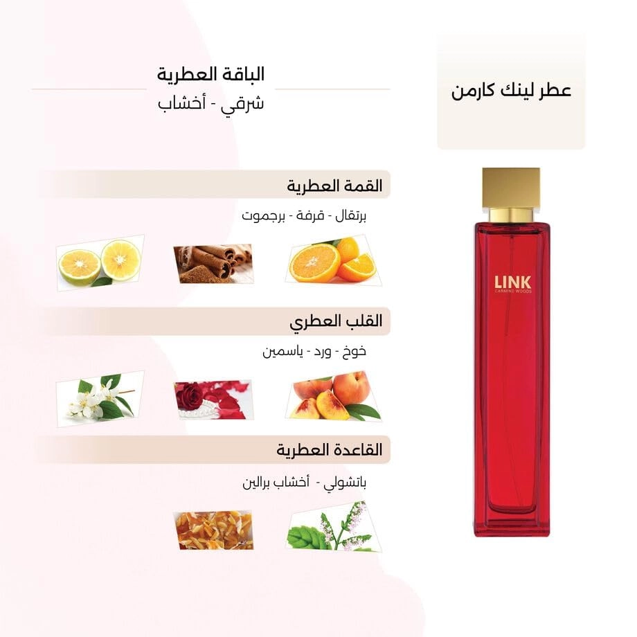 Link Carmen Eau de Parfum 100ml