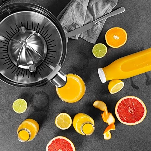 Master Juicer Pro - 300 watts 0.6 Liters