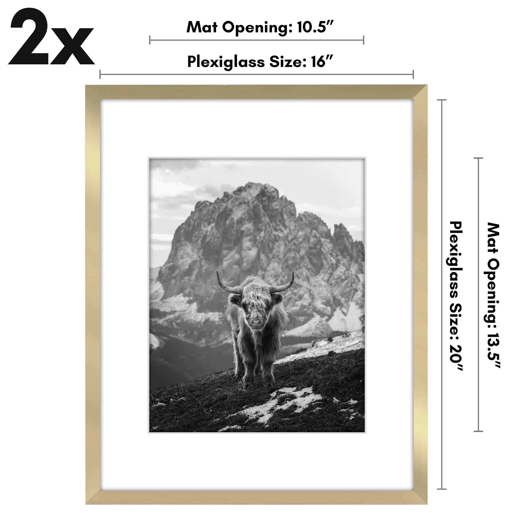 Front Loading Picture Frame - 16X20