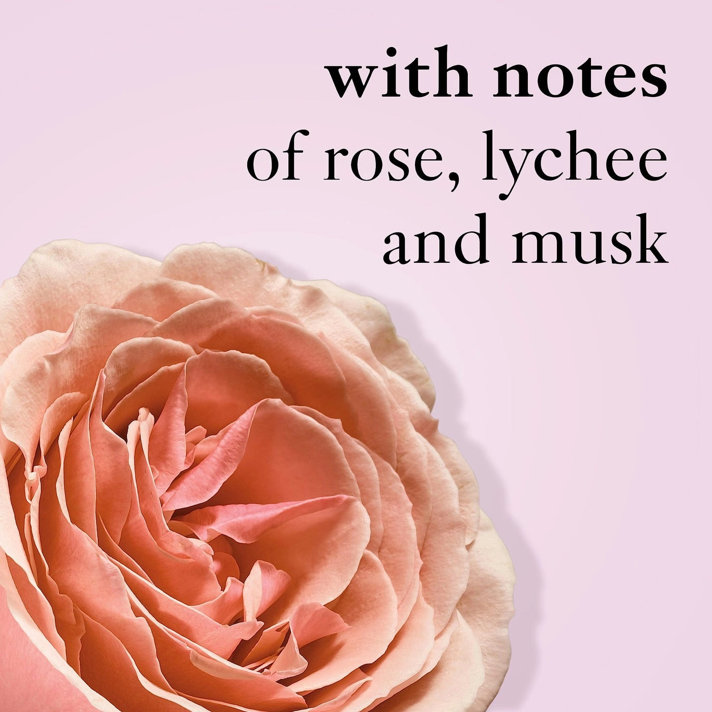 amazing grace ballet rose Eau de Toilette 2 fl oz