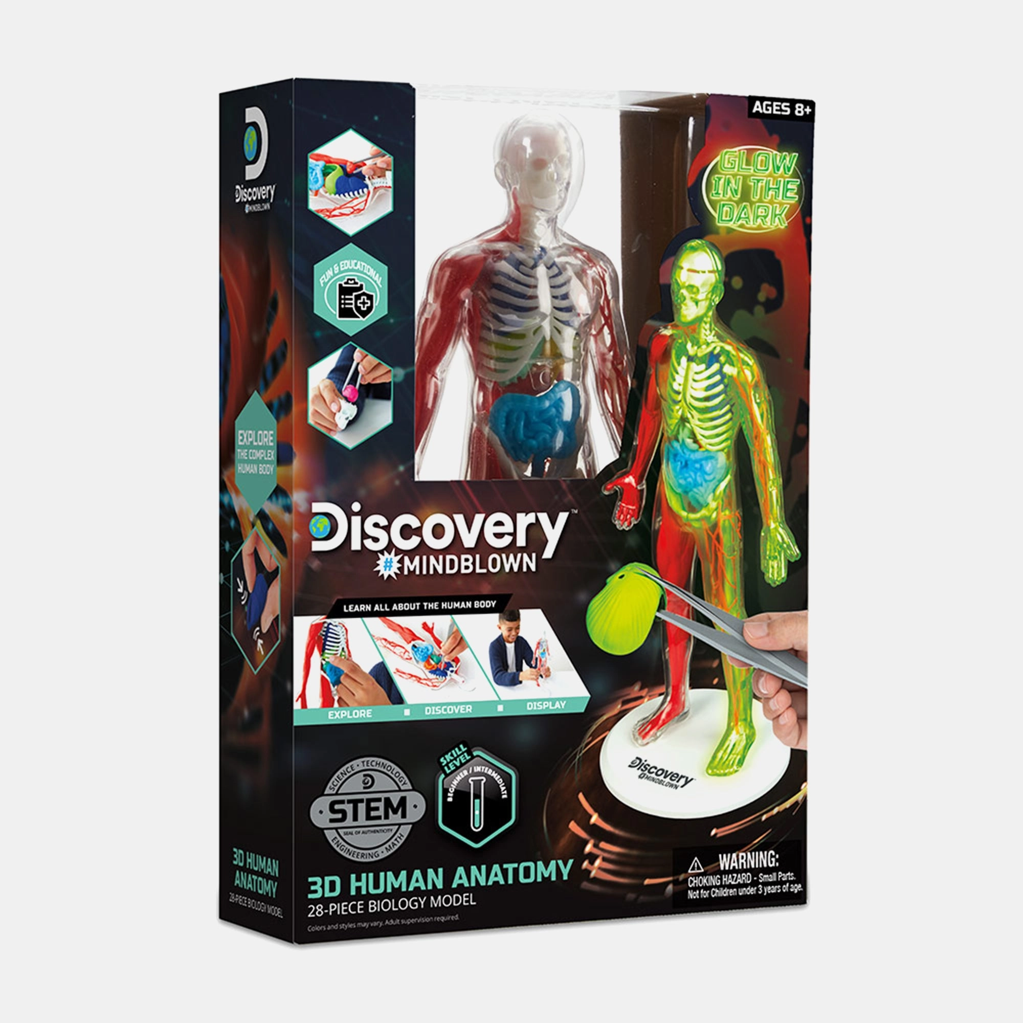 Discovery Paper Mindblown Human Anatomy Kit Biology - 8 years+ 30 pieces