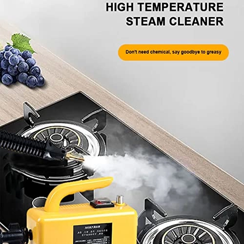 Steam cleaner - 3 BAR 250ML