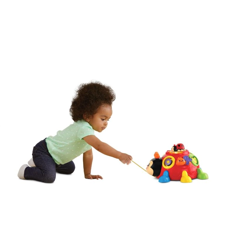 Crazy Legs Learning Bug - Pull Along Shape Sorter
