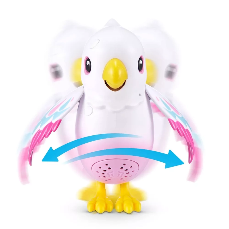 Polly The Magic Bird