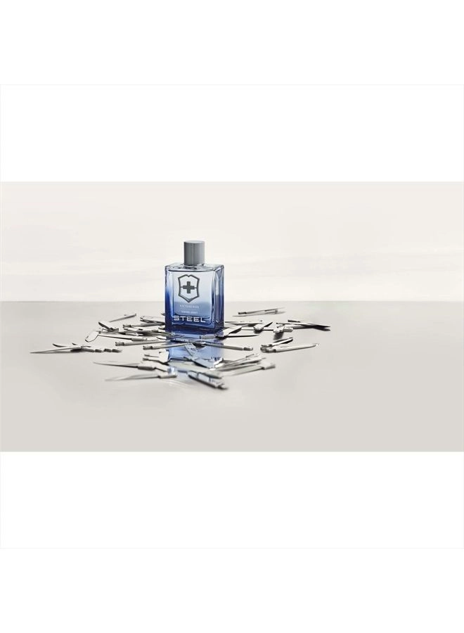 Steel Eau de Toilette 100 ml