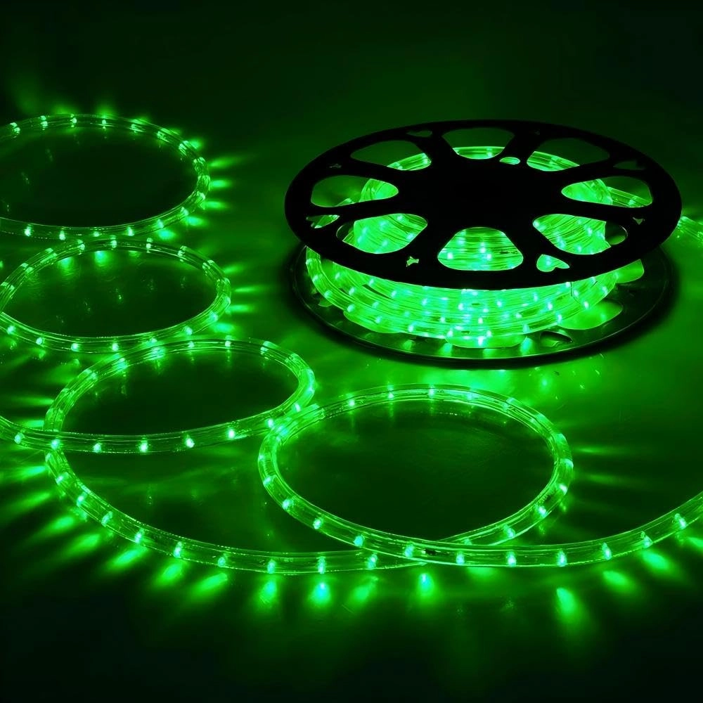 LED Rope Lights - 50ft