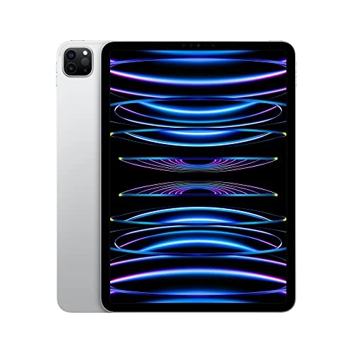 iPad Pro (2022) - 2048GB 11"