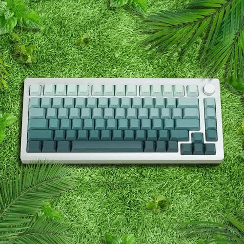 Womier PBT keycaps - 75 Percent Mechanical keyboard