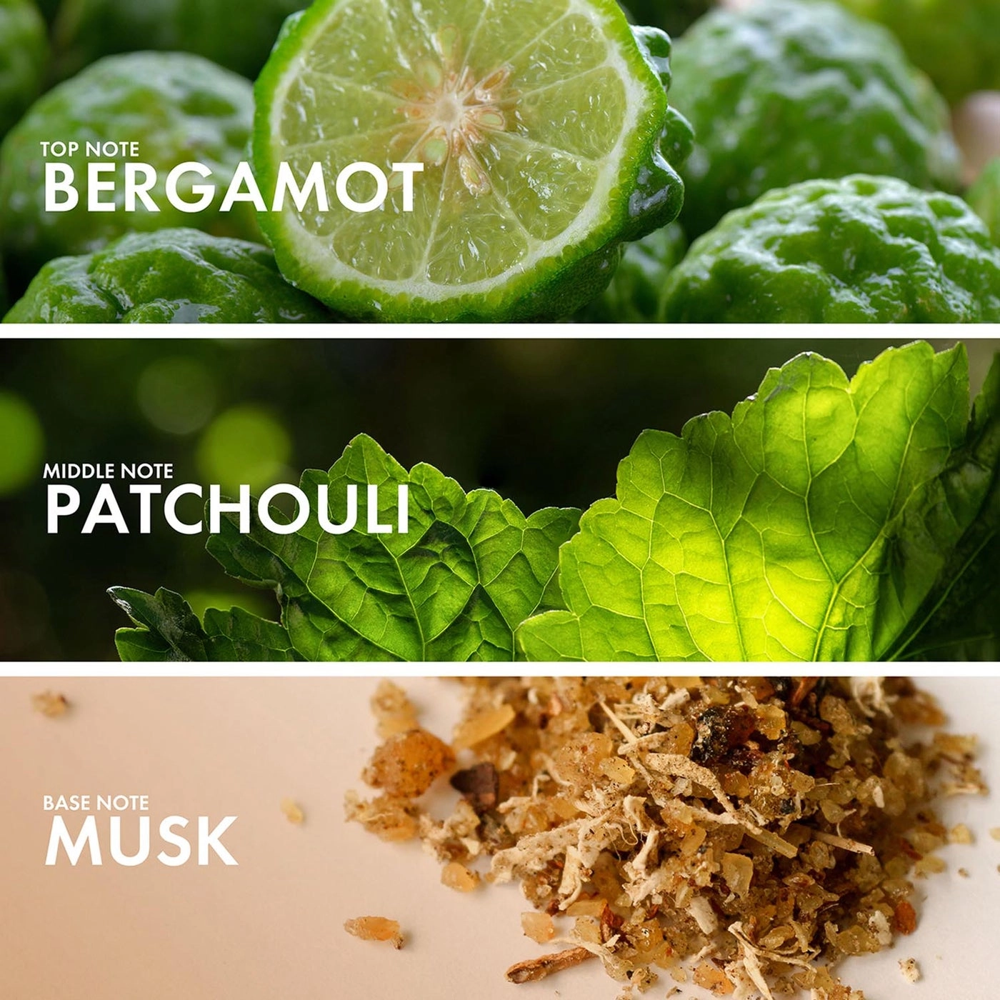 Fruity Bergamot Eau de Parfum 50ml