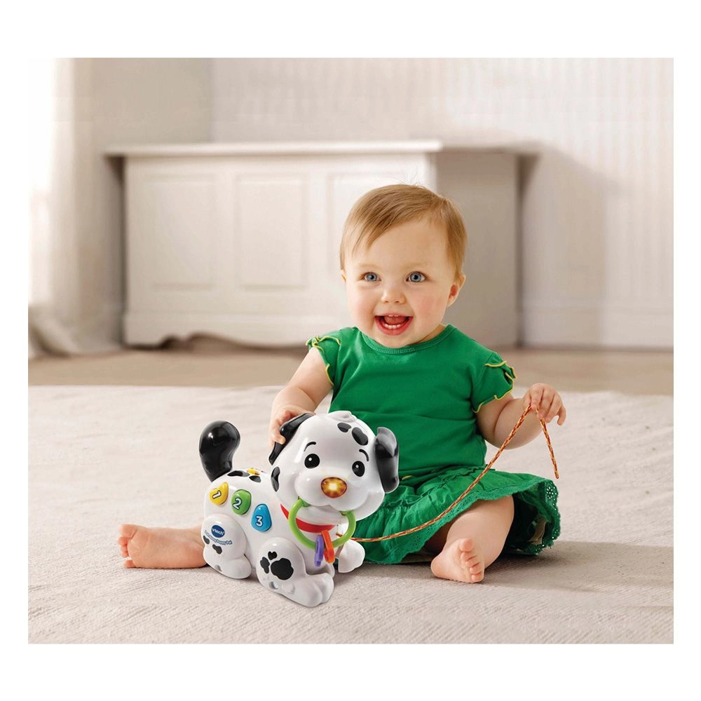 Pull Along Puppy Pal