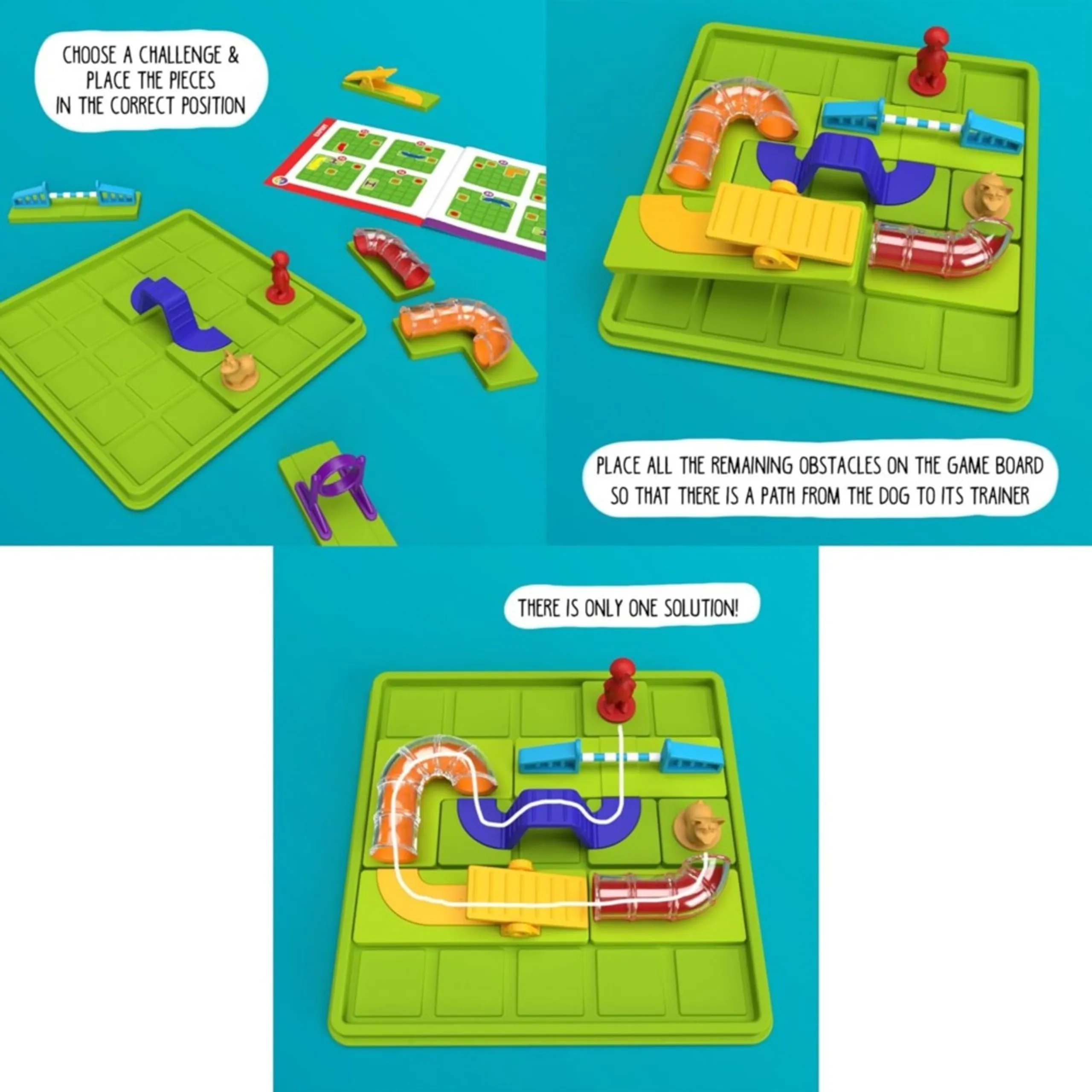 Smart Dog Obstacle Run