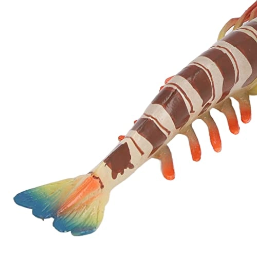 Marine Prawn - 18 months - 3 years