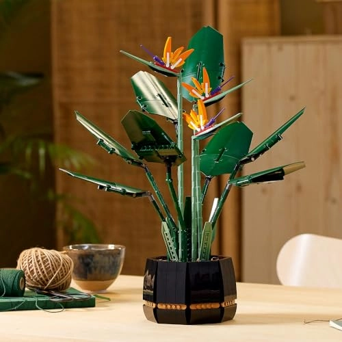 Bird of Paradise (10289)
