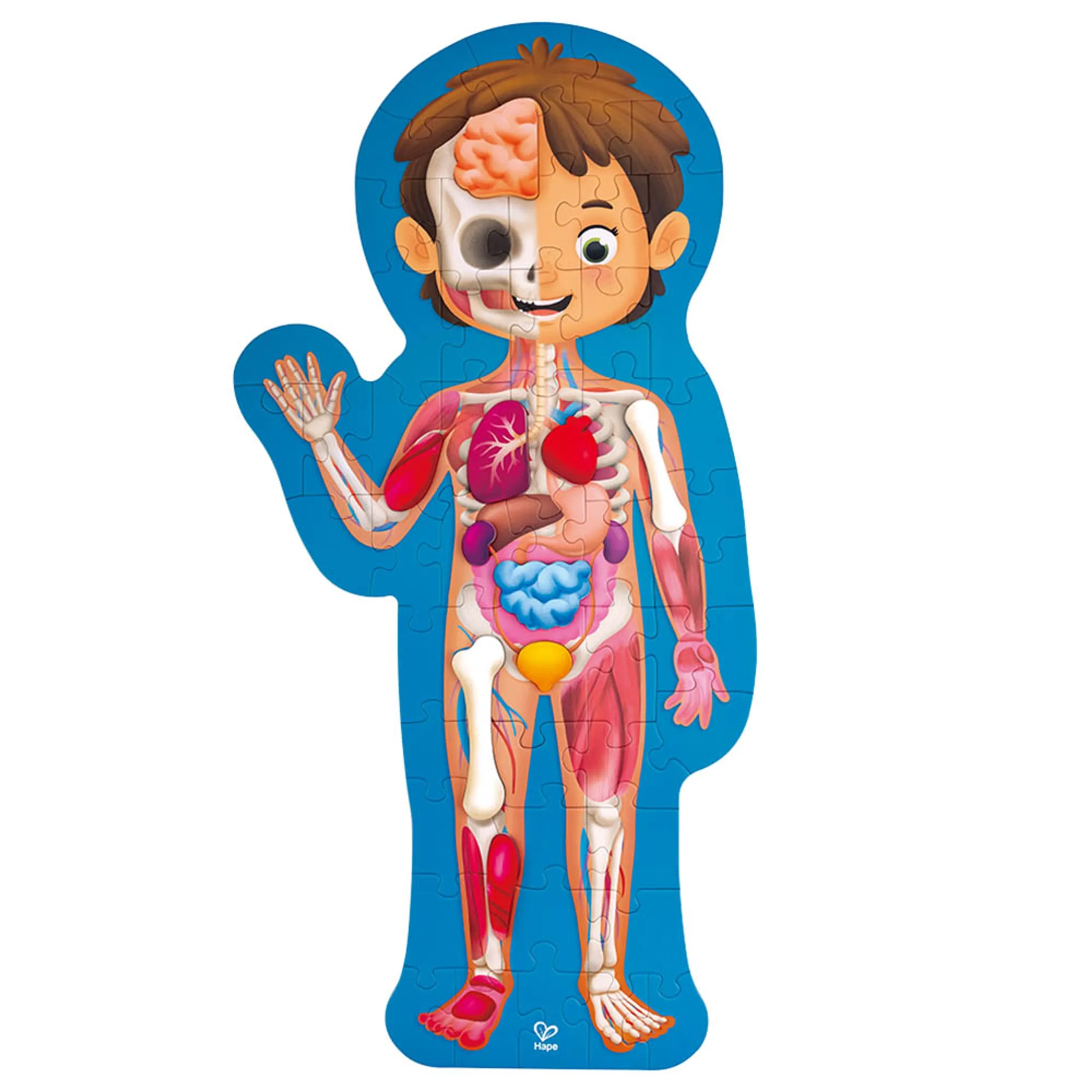 Human Body Jigsaw Puzzle - 4 years and up 60 pieces