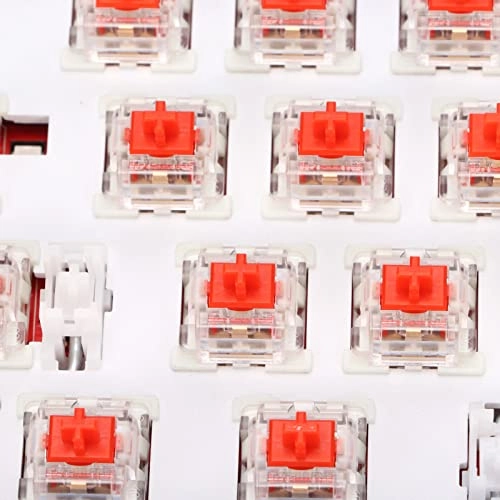 Mechanical Keyboard - Wireless/Wired