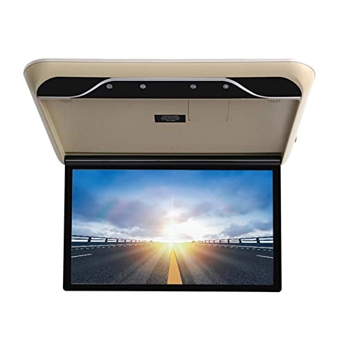 Car Screen - 19 inch