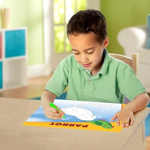 Birds Color & Clean Flash Cards - 36 months - 10 years 14 pieces