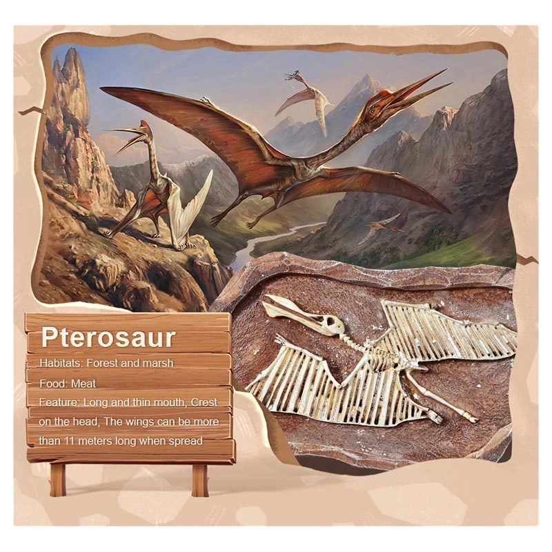 Revive A Pterosaur Dig A Dinosaur Kit - 6 years+