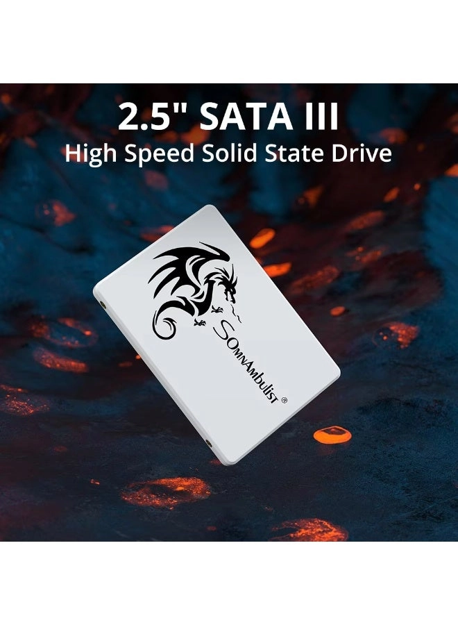 Internal Solid State Drive - 256GB 2.5