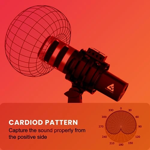 AM-C4 3.5mm-Mini-Jack+USB Microphone