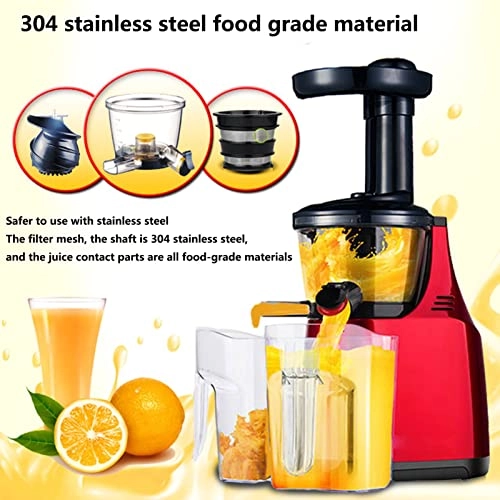 DASIZHOU - 180W 300 Milliliters